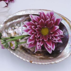 Dru yoga en meditatie retraite